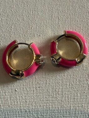 NEW Nordstrom Pink and Gold Hoop Earrings
